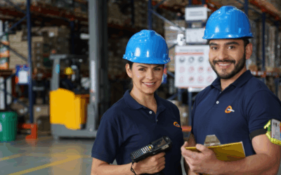 ¿Como Optimiza Solistica la logistica en la Industria del Consumo?