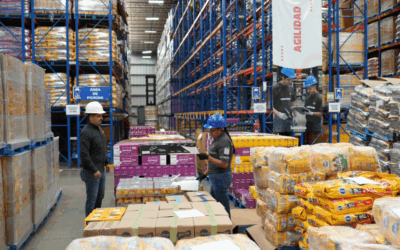 Smart packaging: How to protect your goods and reduce transportation costs