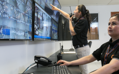 Digitalization on the move: trends that are redefining global logistics.