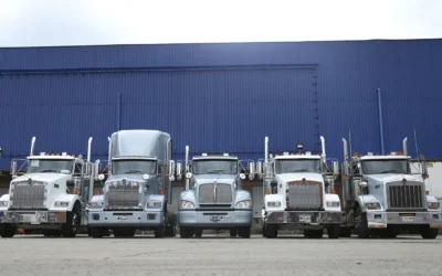 De la Cadena de Frío al Transporte Sostenible